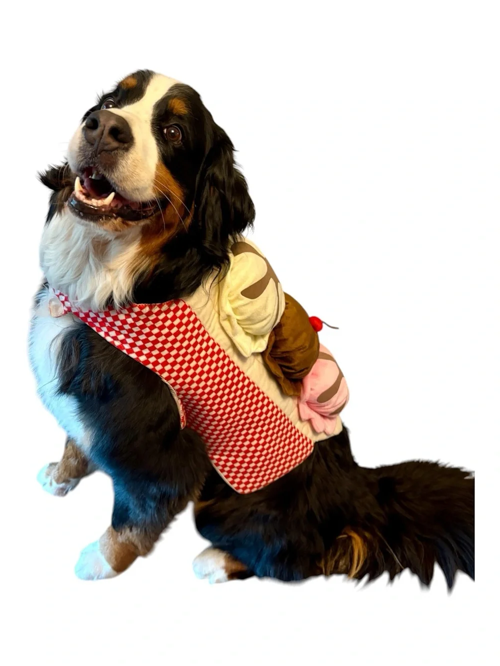 Target your pet
